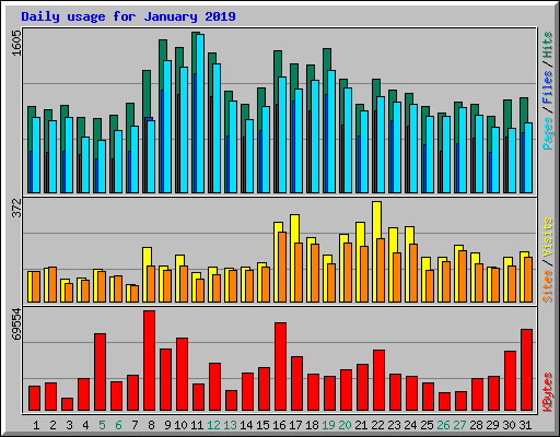 Daily usage for January 2019