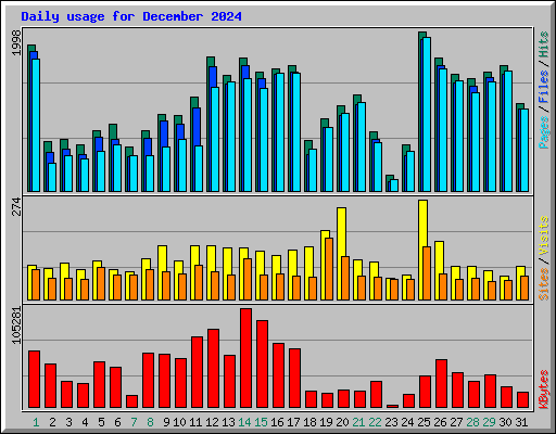 Daily usage for December 2024