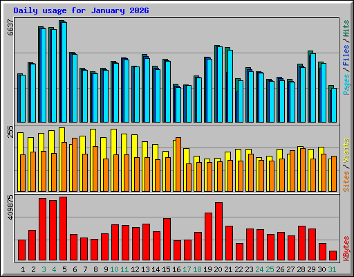 Daily usage for January 2026