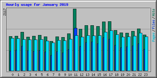 Hourly usage for January 2019