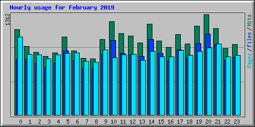 Hourly usage for February 2019