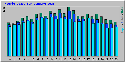 Hourly usage for January 2023