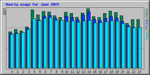 Hourly usage for June 2023