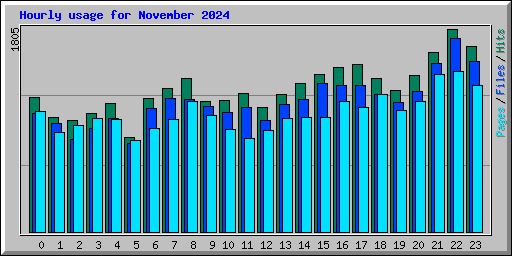 Hourly usage for November 2024