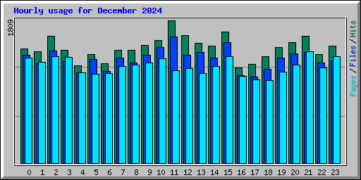 Hourly usage for December 2024