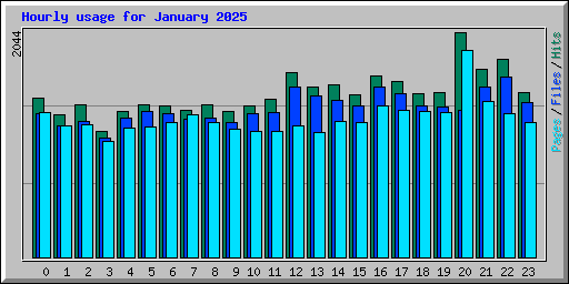 Hourly usage for January 2025