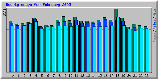 Hourly usage for February 2025