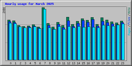 Hourly usage for March 2025
