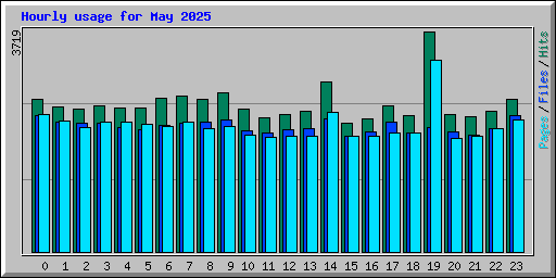 Hourly usage for May 2025