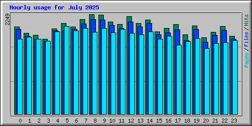 Hourly usage for July 2025