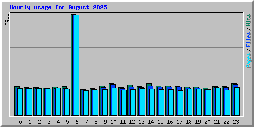 Hourly usage for August 2025