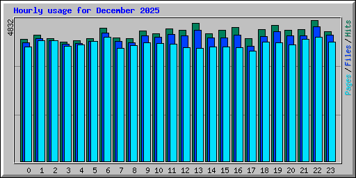 Hourly usage for December 2025