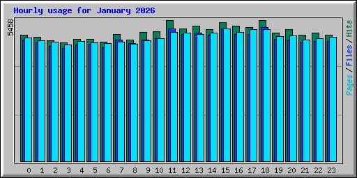 Hourly usage for January 2026