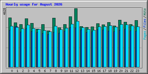Hourly usage for August 2026